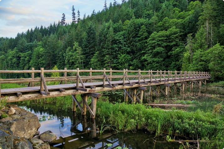Ponte di legno al lago Brohm