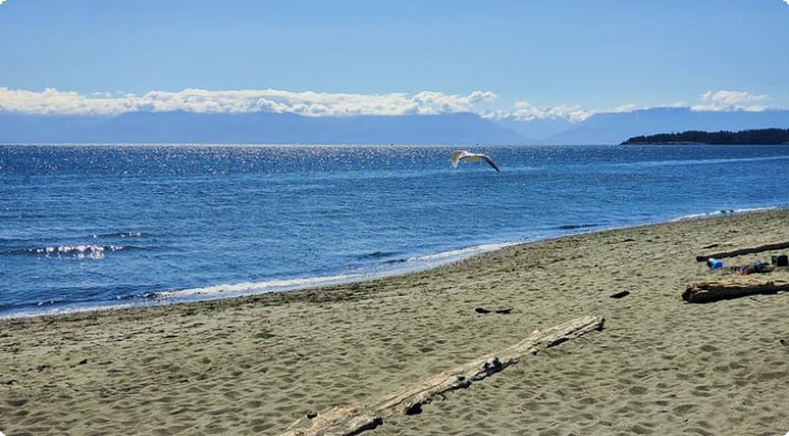 Der Strand der Esquimalt-Lagune