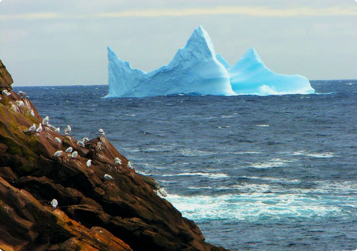 Айсберг у побережья Ньюфаундленда
