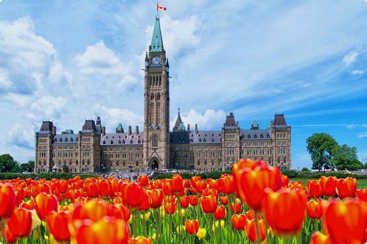 Parliament Hill während des Tulpenfestes