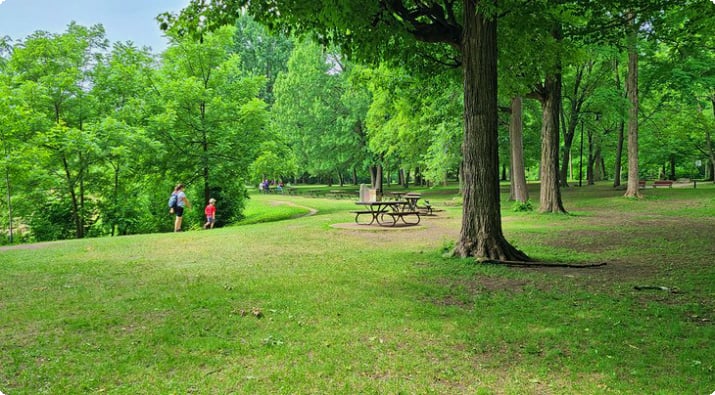 Столы и дорожки для пикника в парке Ангриньон