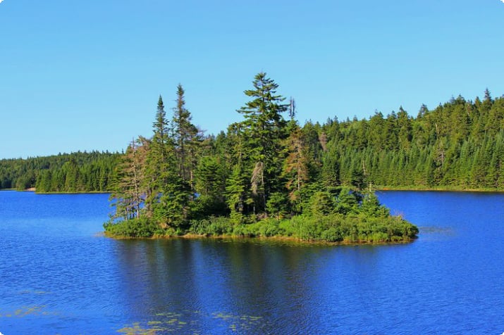 Fundy Ulusal Parkı'ndaki Ada
