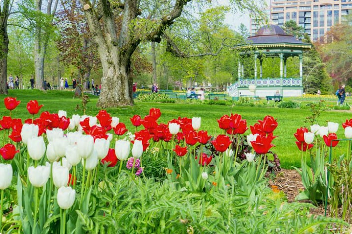 Jardins publics d'Halifax