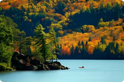 12 парков Онтарио с самым высоким рейтингом: знакомство с прекрасной природой Онтарио