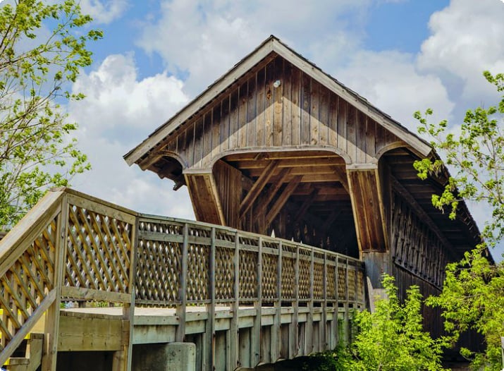 Крытый мост Гвельфа