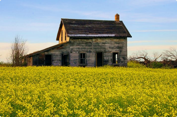 Заброшенный фермерский дом вдоль Трансканадского шоссе