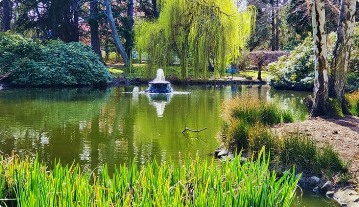 Ein Teich und Springbrunnen im Beacon Hill Park
