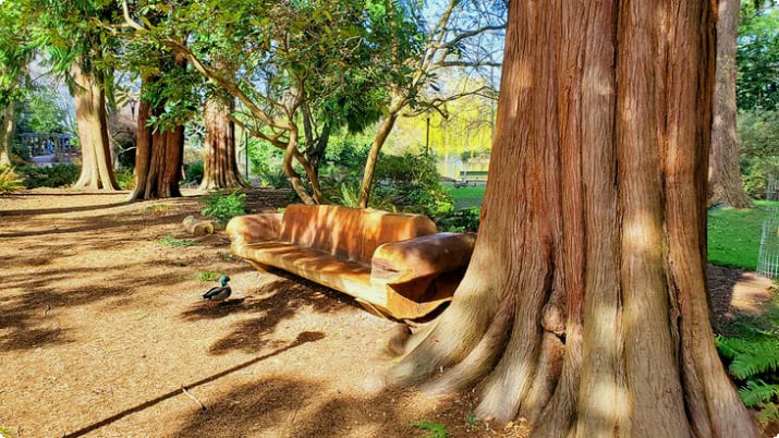 Скамейка и деревья в парке Бикон-Хилл