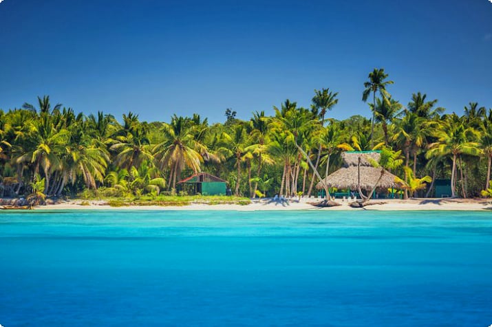 Dominik Cumhuriyeti, Punta Cana'da palmiyelerle kaplı plaj