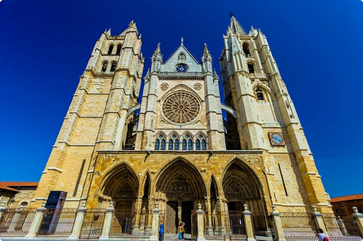 Katedra w León