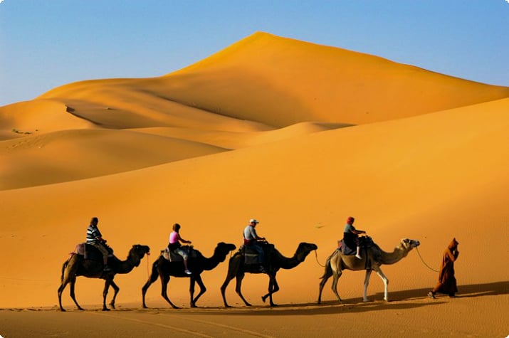 Верхом на верблюдах в пустыне Сахара
