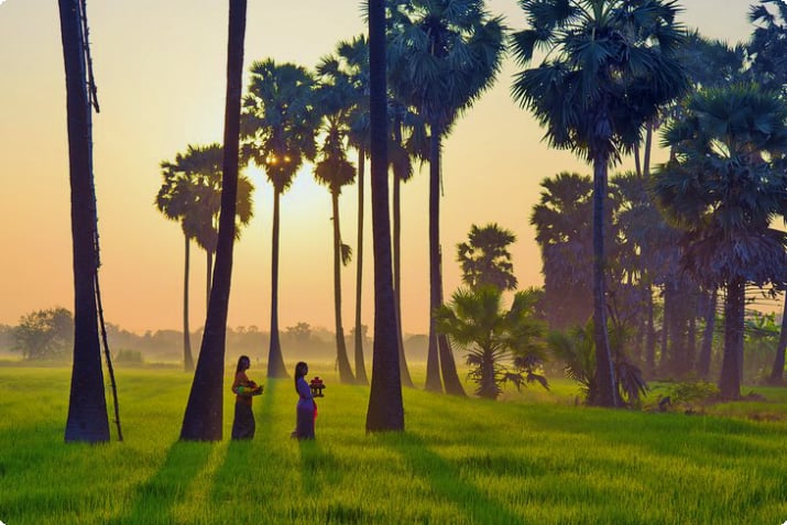 Vrouwen lopen door rijstvelden in Ubud, Bali