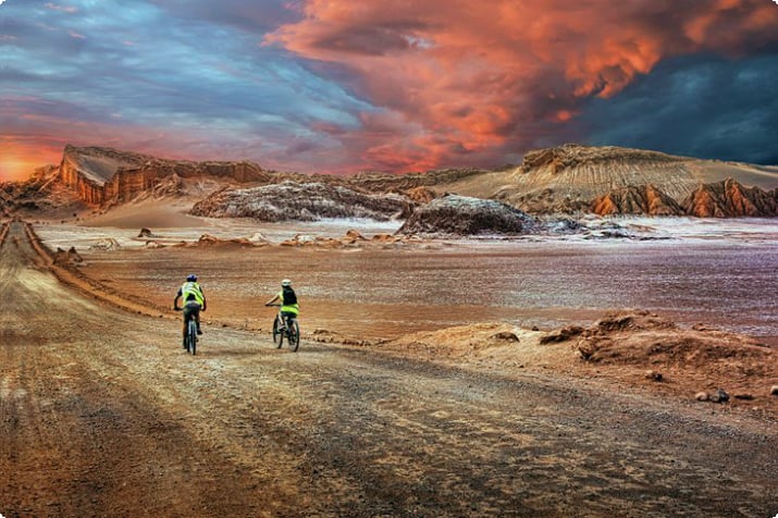 Pyöräilijät Atacaman autiomaassa