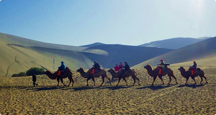 Катание на верблюдах и люди, играющие в дюнах