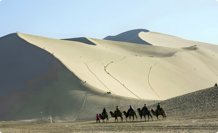 Походы на верблюдах по песчаным дюнам