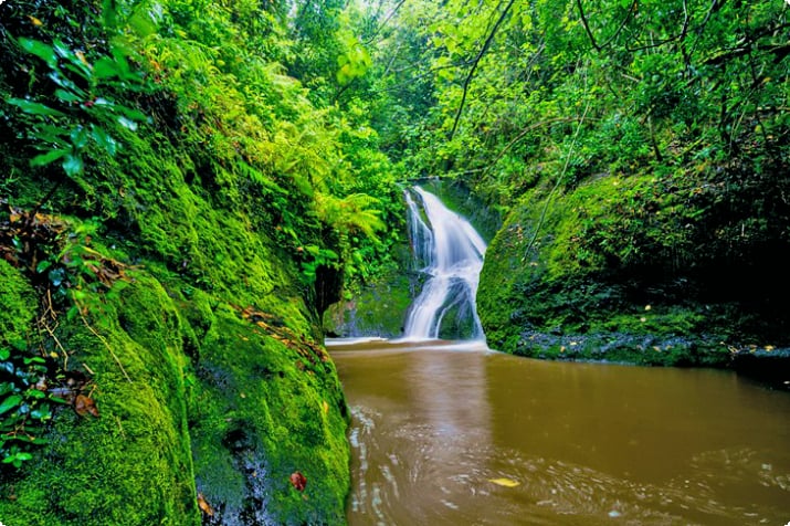 Водопад Папуа