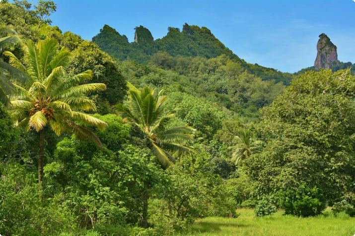 Üppige tropische Landschaft von Rarotonga mit dem Berg Te Manga in der Ferne