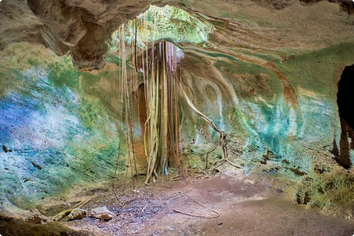 Пещера Амброзия в экологическом парке Варадеро