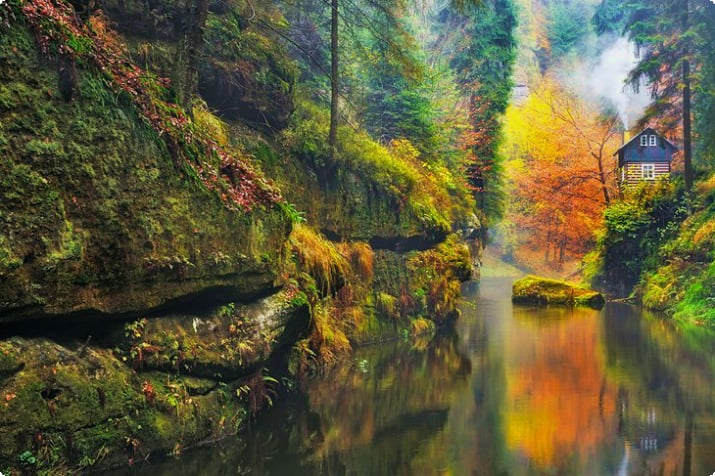 Ущелье Камниц в национальном парке Чешская Швейцария