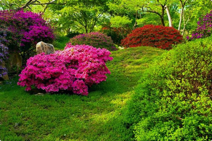 Japanischer Garten in der Botanicka Zarhrada