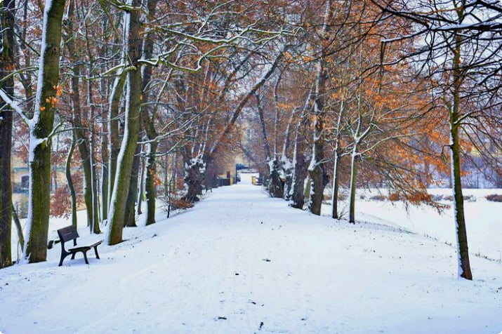 Снежный парк в Праге