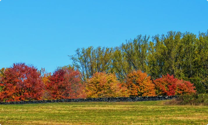 Herbst im Brandywine Creek State Park