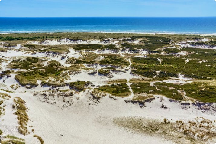 Utsikt fra Dueodde fyr over sanddynene og stranden