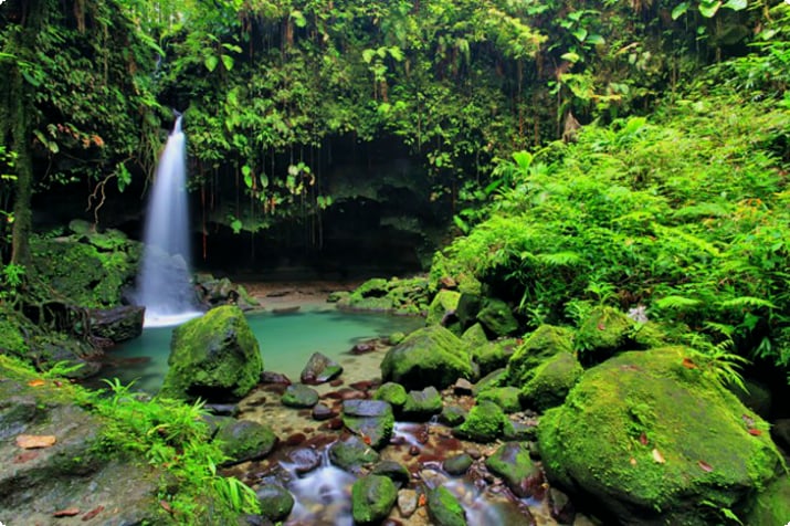 11 erstklassige Touristenattraktionen in Dominica