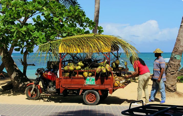 Kokosnussverkäufer in Las Terrenas