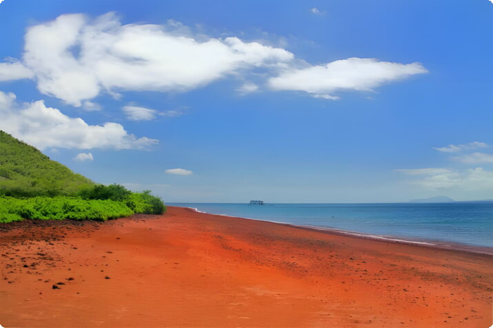 Пляж с красным песком на острове Рабида в Галапагосском национальном парке