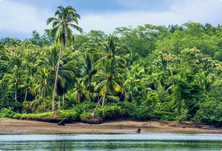 San Lorenzo, Ekvator'daki sahilin arkasındaki orman
