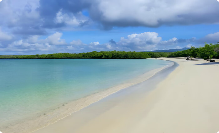 Красивый песчаный пляж залива Тортуга в городе Санта-Крус, Галапагосские острова