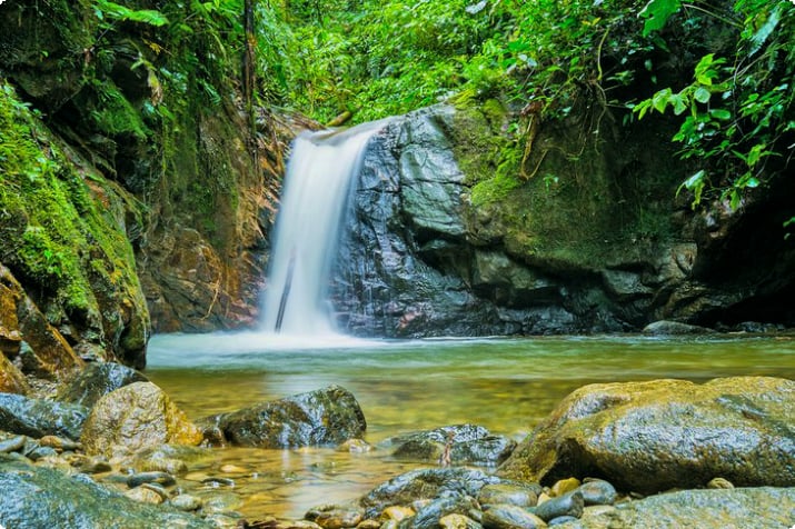 Wodospad otoczony bujną roślinnością w Parku Narodowym Podocarpus