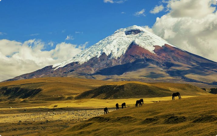 10 Hooggewaardeerde toeristische attracties in Ecuador