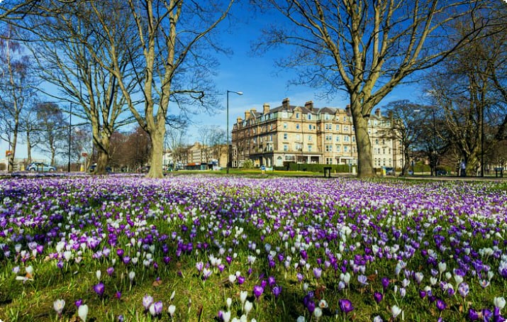 Harrogate: het Britse bloemenresort
