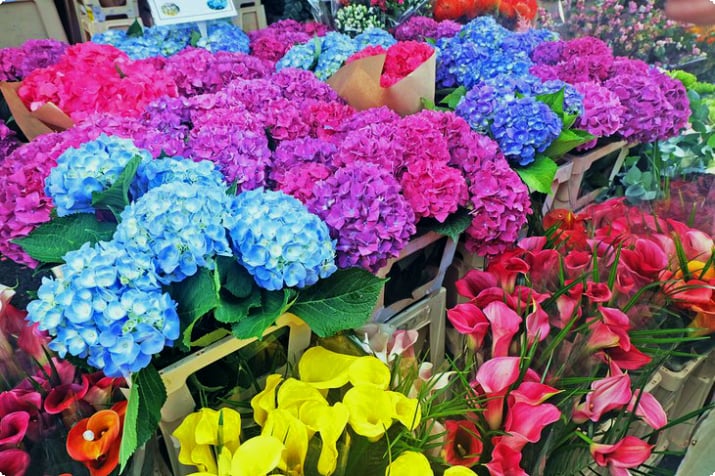 Mercado de flores da Columbia Road