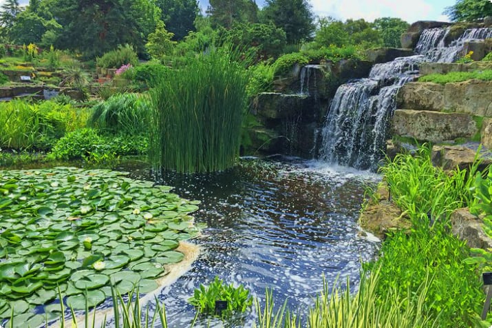 Wasserfall in Kew Gardens