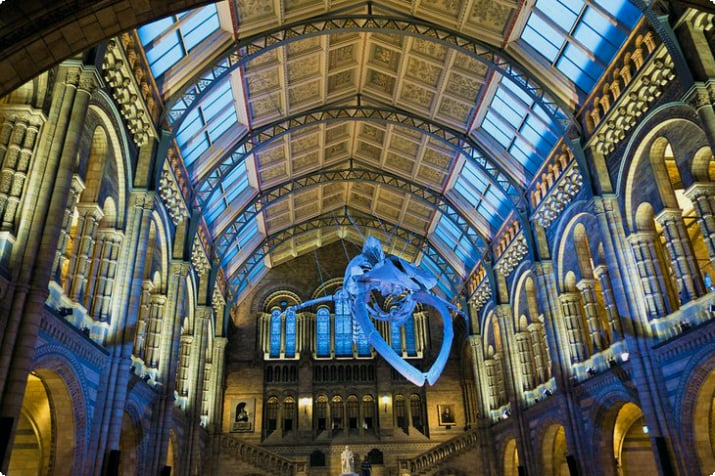 После рабочего дня в Центральном зале со скелетом синего кита, свисающим с потолка