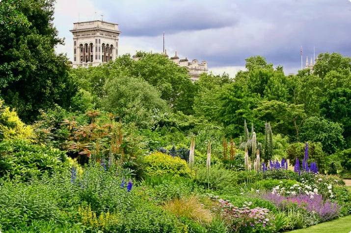 Сад Букингемского дворца