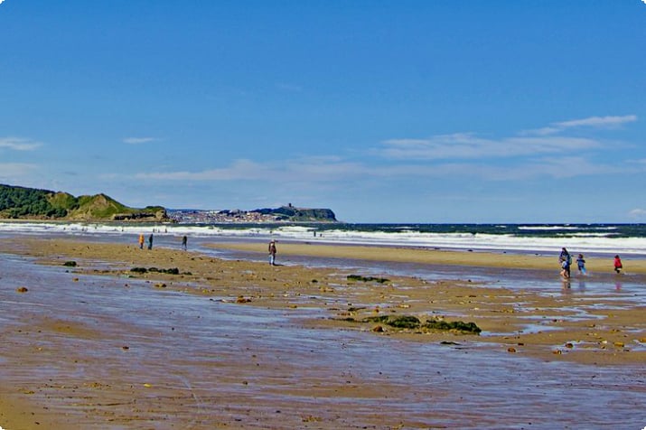Strand in Cayton Bay