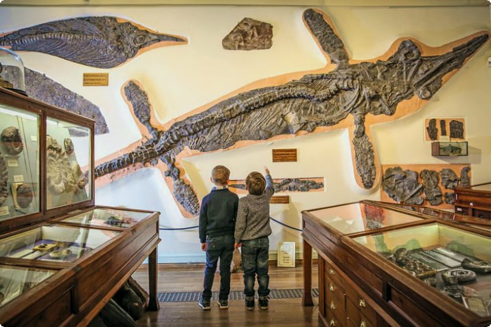 Jungen, die im Whitby Museum einen Ichthyosaurier betrachten