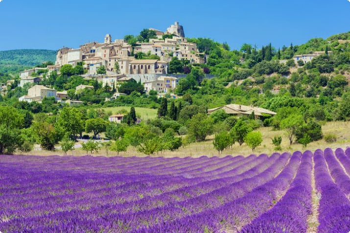 Lavendelmark foran Simiane la Rotonde, Provence, Frankrig