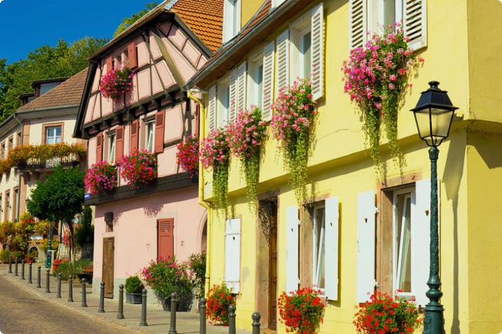 Historische Häuser von Ribeauvillé mit Blumenschmuck