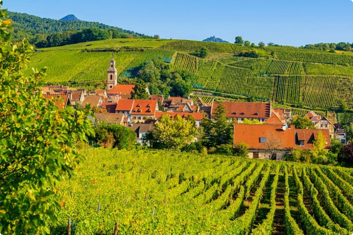 Landsby Riquewihr omgitt av landsbygda i Alsace