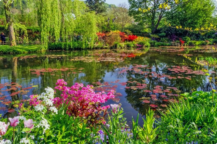 Claude Monet'nin Giverny'deki bahçesi