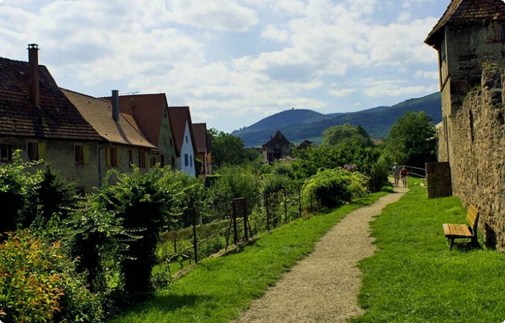 Caminhos através de Rolling Hills até pitorescas aldeias da Alsácia