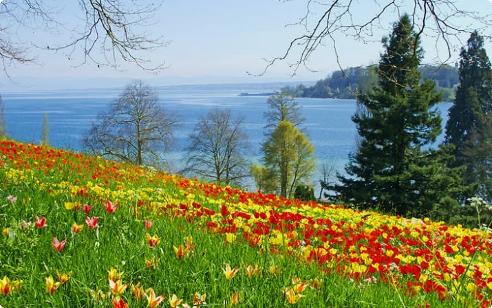 Инзель Майнау: остров цветов на Боденском озере