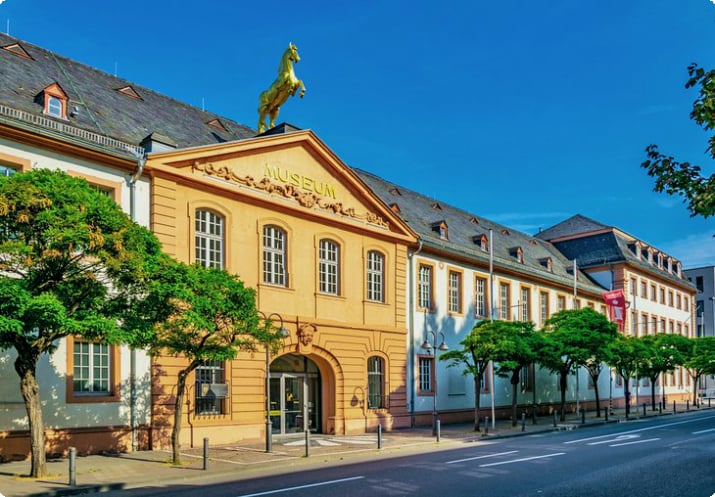 Государственный музей Майнца