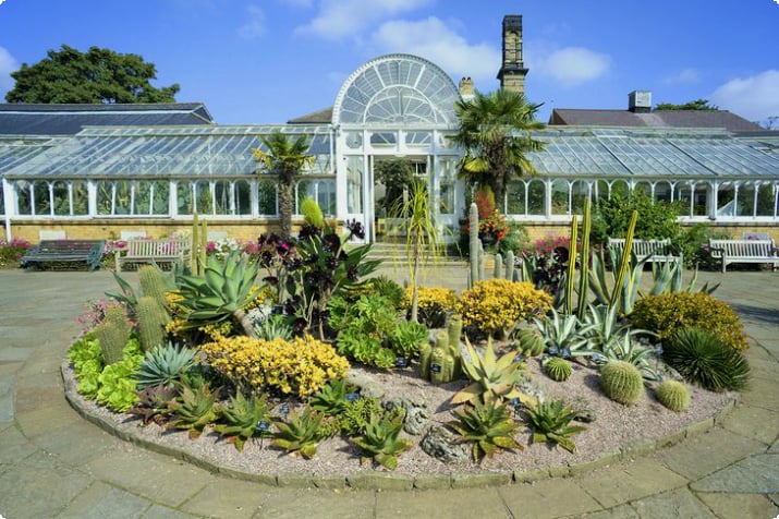 Ботанический сад Бирмингема