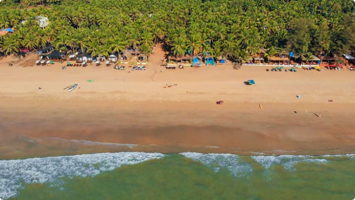Вид с воздуха на пляж Агонда